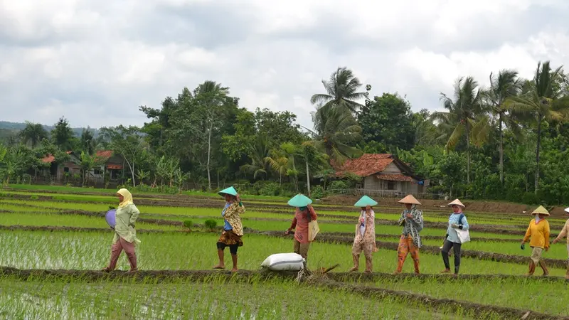 Aktivitas di Desa Karya Bakti 2